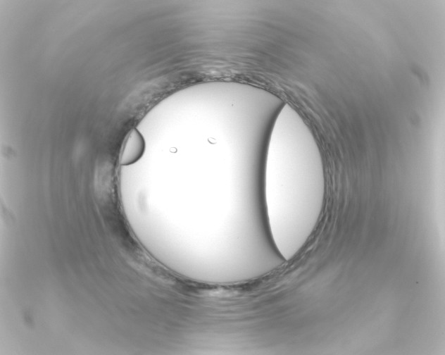 X0000090950511200708021104