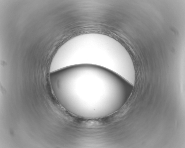 X0000090950512200708021104