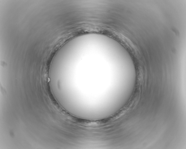 X0000090950513200708021104