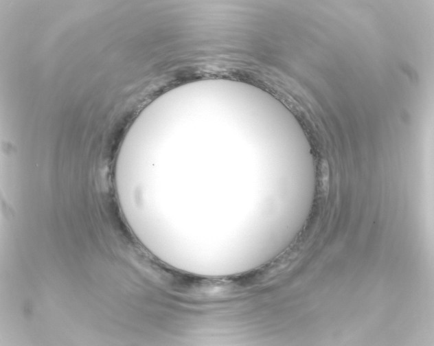 X0000090950514200708021104