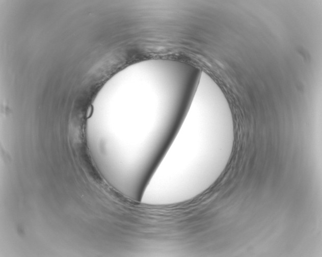 X0000090950515200708021104