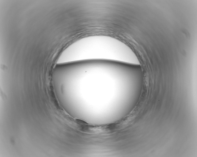X0000090950516200708021104