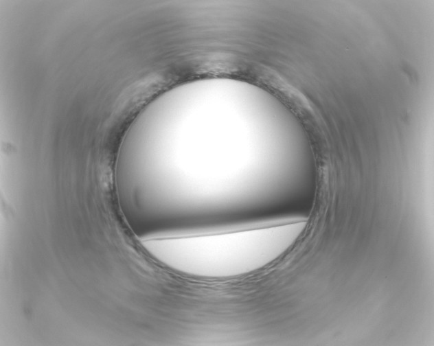 X0000090950517200708021104
