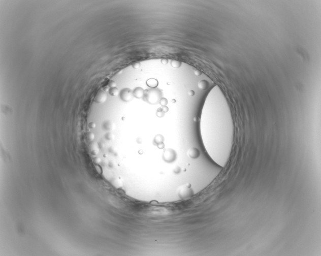 X0000090950519200708021104