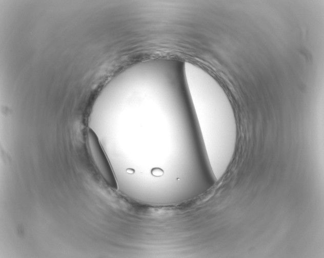 X0000090950520200708021104
