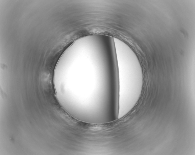 X0000090950521200708021104