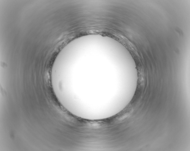 X0000090950523200708021104