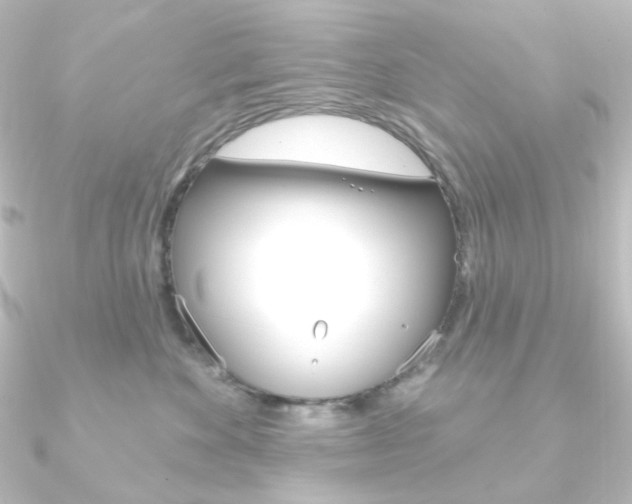 X0000090950524200708021104