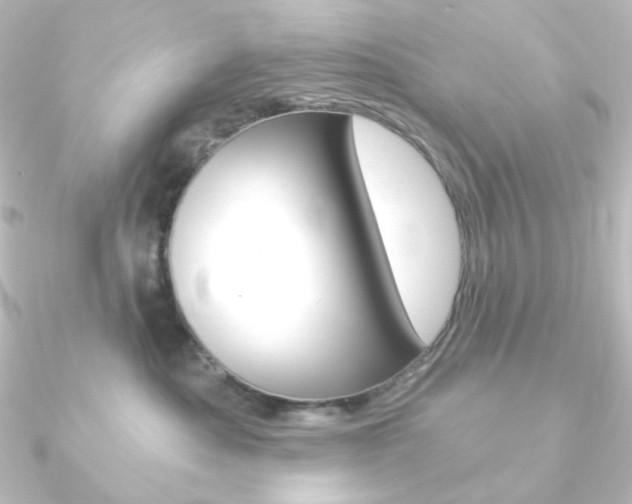 X0000090950525200708021104