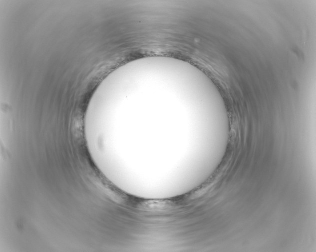 X0000090950526200708021104