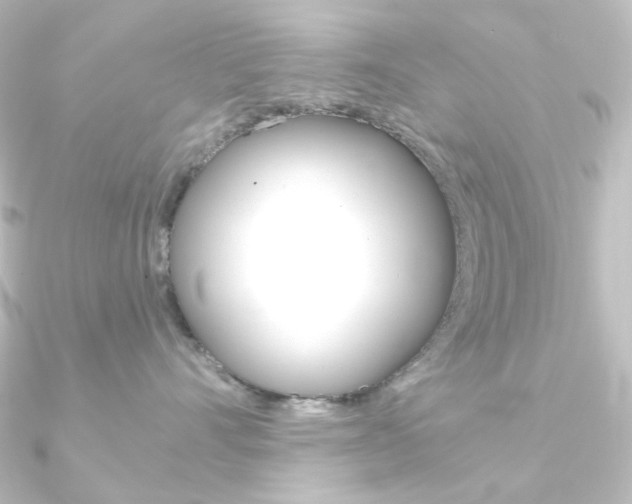 X0000090950528200708021104