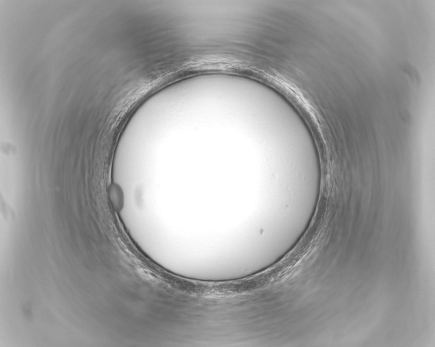 X0000090950529200708021103