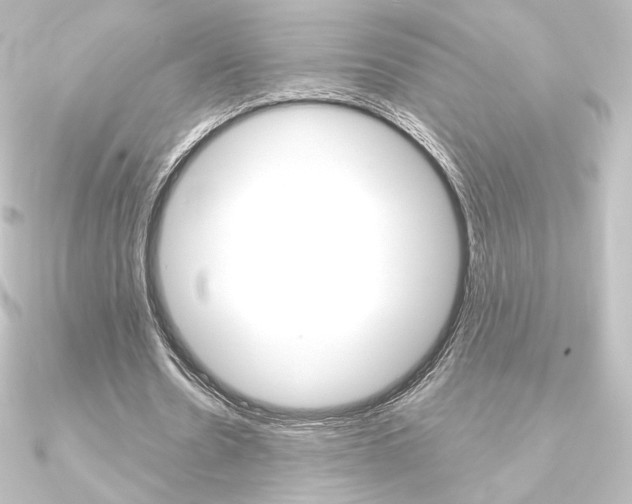 X0000090950530200708021103