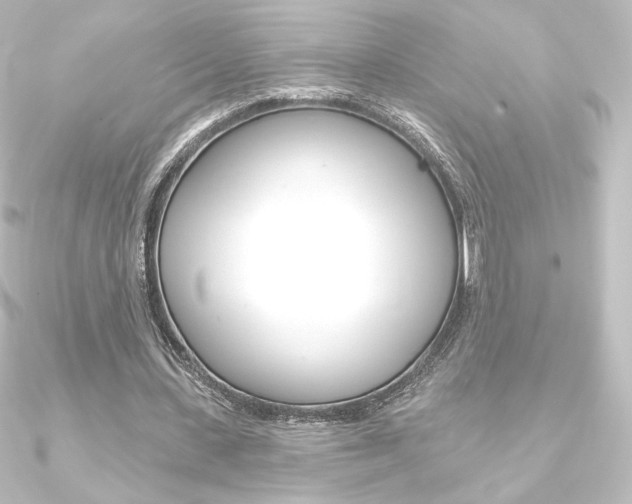 X0000090950531200708021103