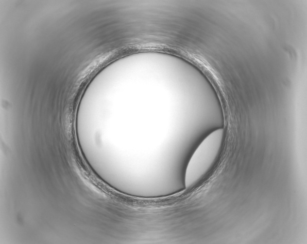 X0000090950533200708021103