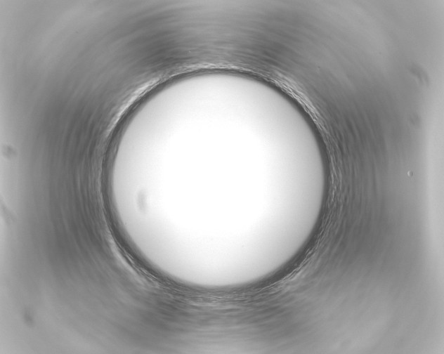 X0000090950534200708021103