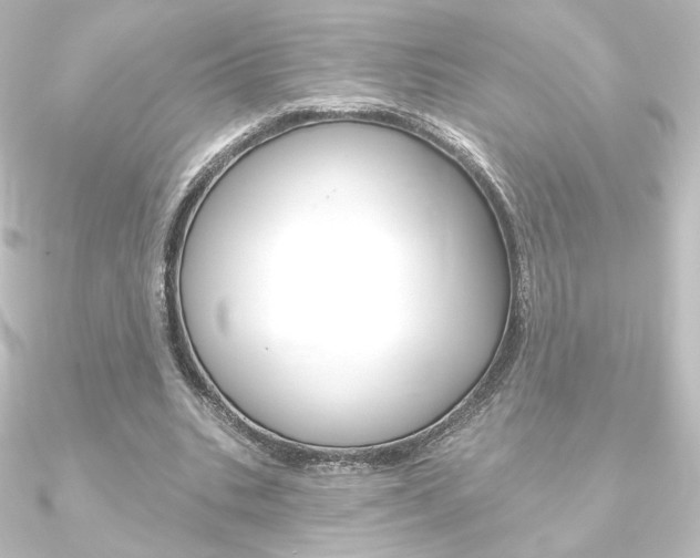 X0000090950535200708021103