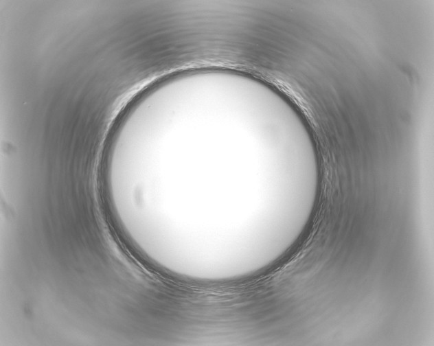 X0000090950536200708021103