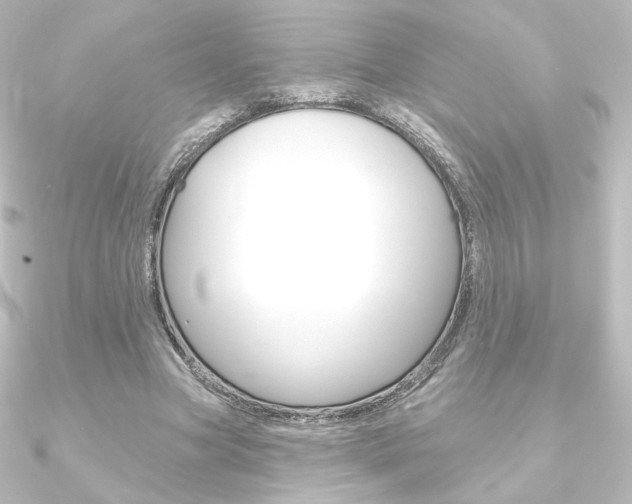 X0000090950537200708021103
