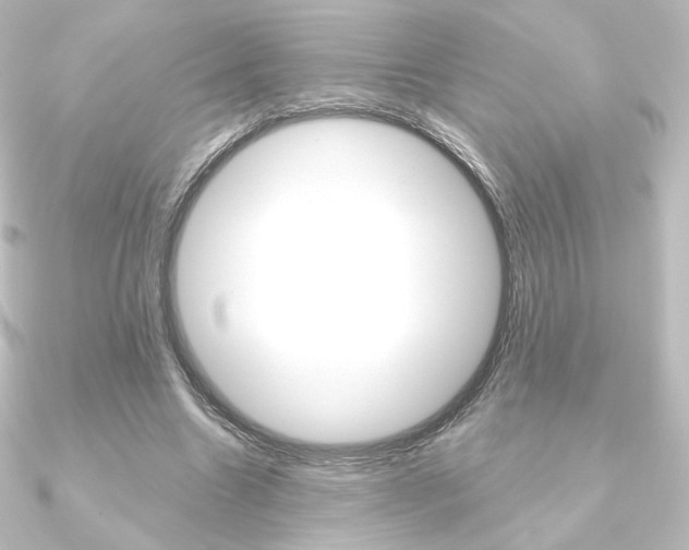 X0000090950538200708021103