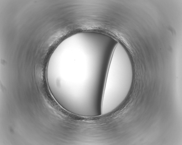X0000090950539200708021103