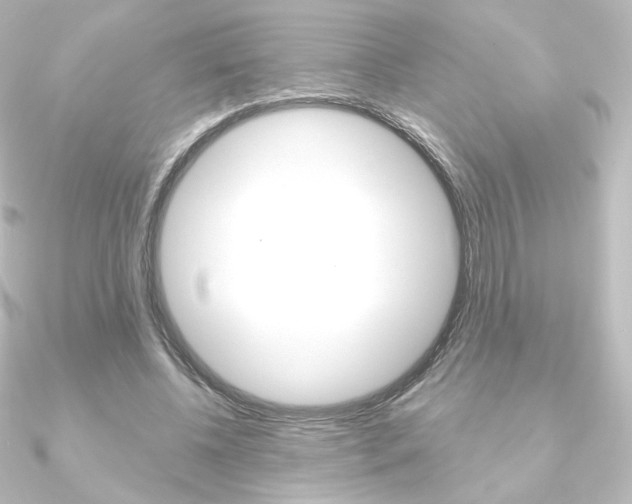 X0000090950540200708021103