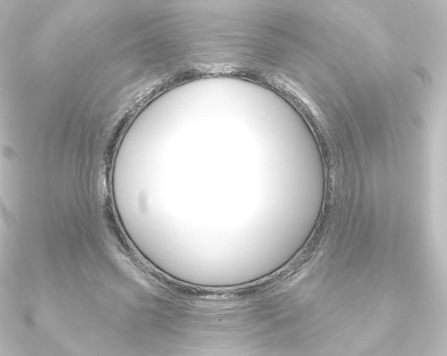 X0000090950541200708021103