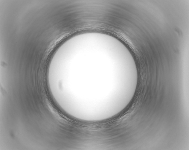 X0000090950542200708021103