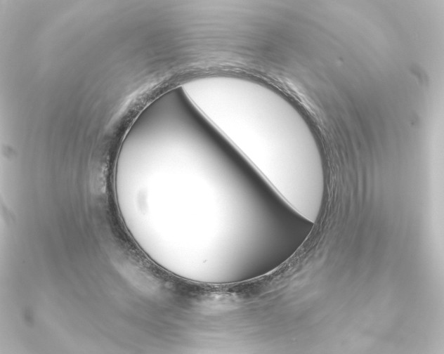 X0000090950543200708021103