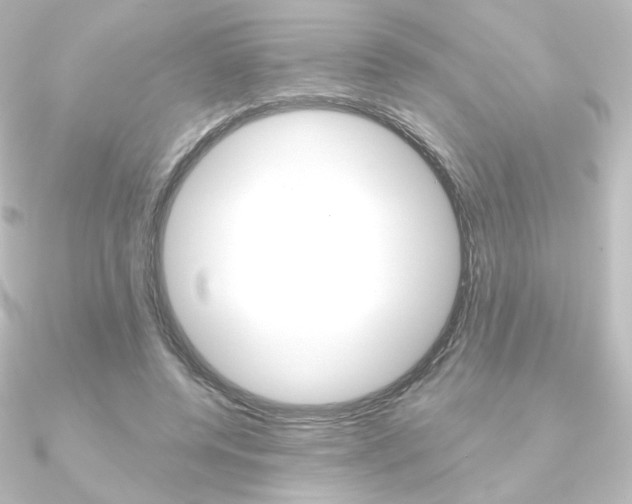 X0000090950544200708021103