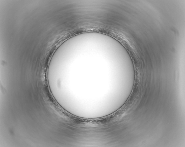 X0000090950545200708021103