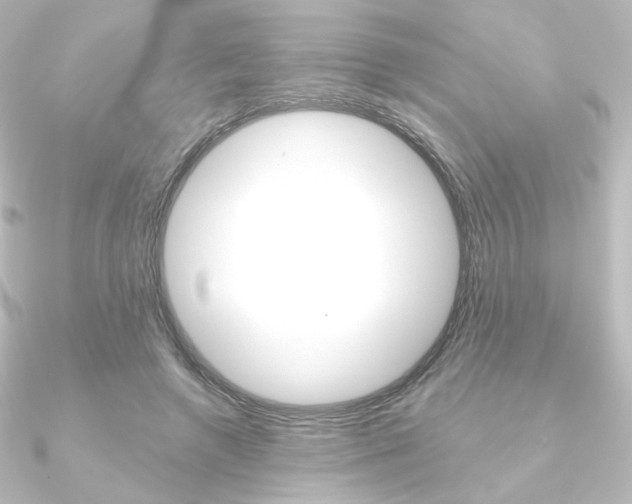 X0000090950546200708021103