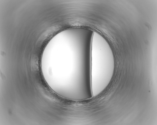X0000090950547200708021103