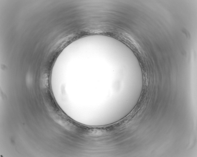 X0000090950549200708021103