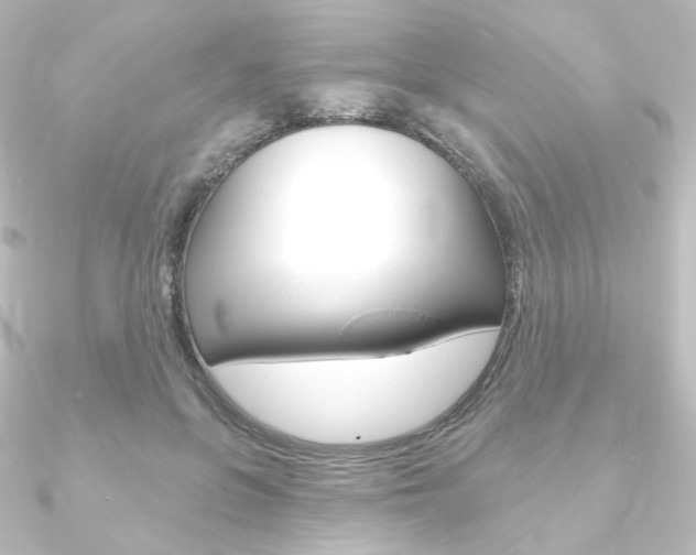 X0000090950551200708021103