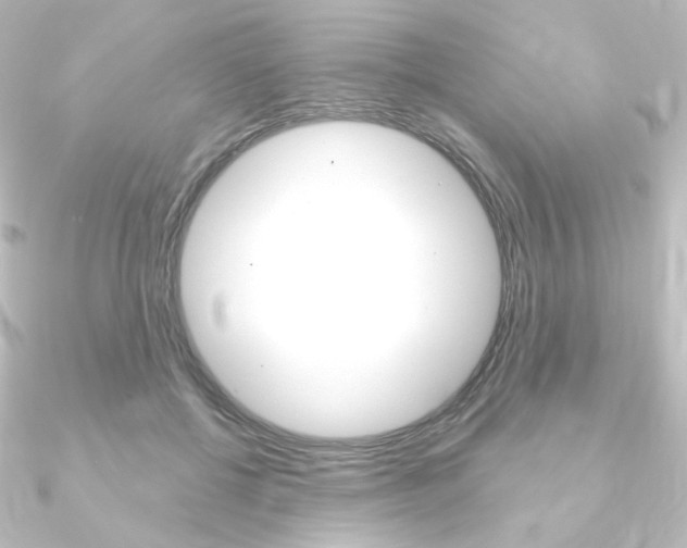 X0000090950552200708021103