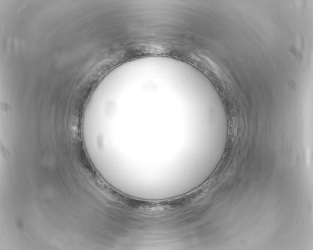 X0000090950553200708021103