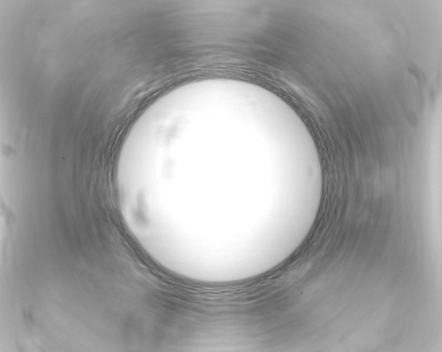X0000090950554200708021103
