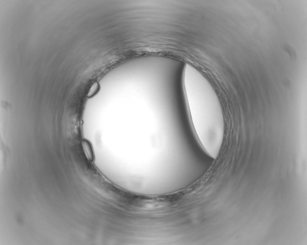 X0000090950555200708021103