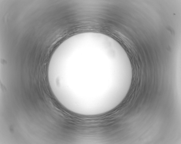 X0000090950556200708021103