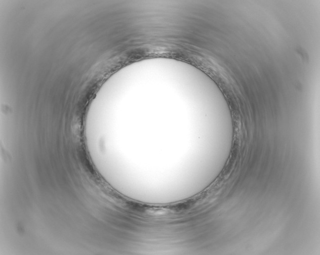 X0000090950557200708021103