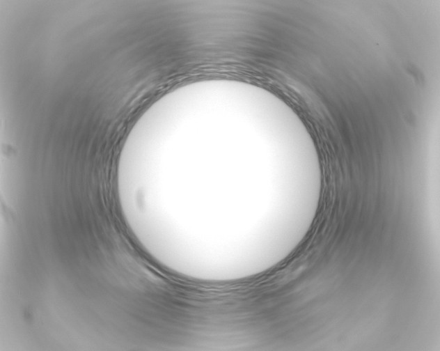 X0000090950558200708021103