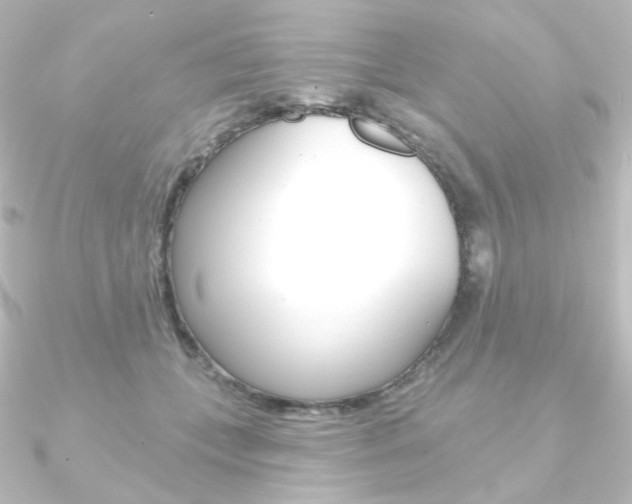 X0000090950559200708021103
