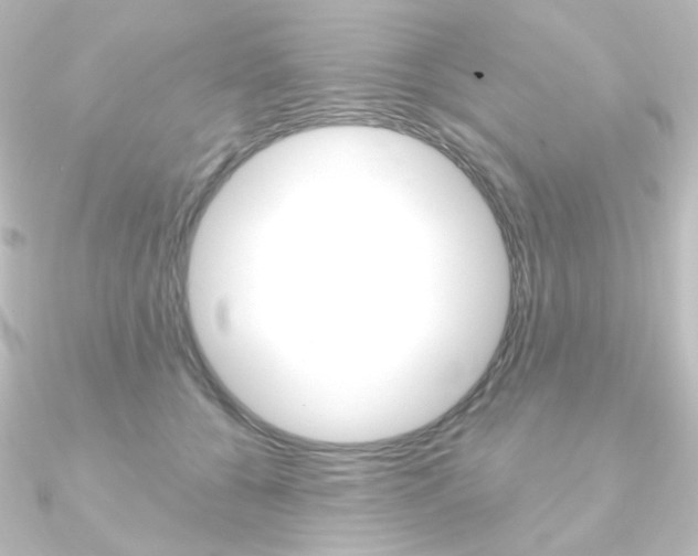 X0000090950560200708021103