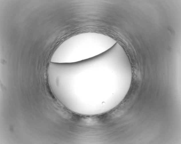 X0000090950561200708021103