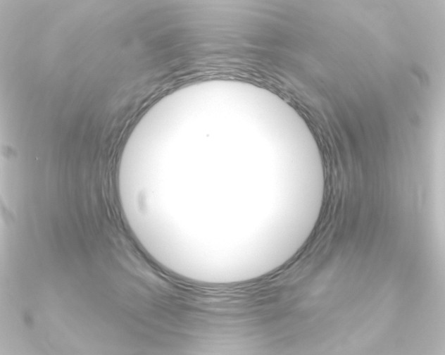 X0000090950562200708021103