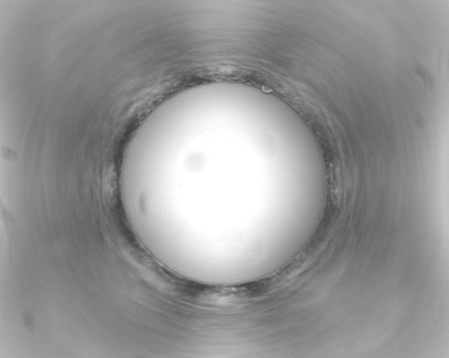 X0000090950563200708021103