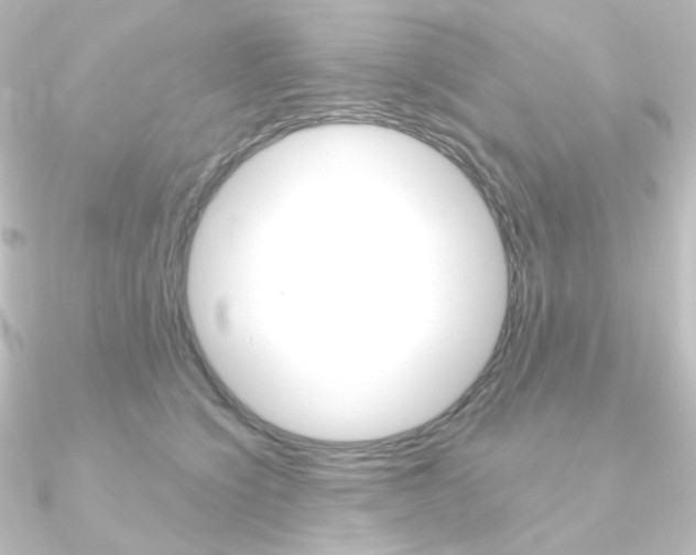 X0000090950564200708021103