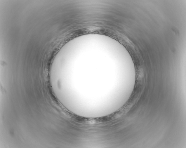X0000090950565200708021103
