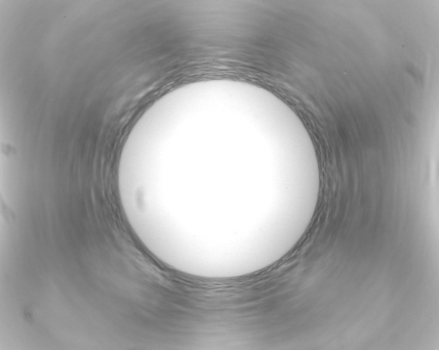 X0000090950566200708021103